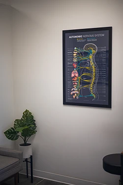 Chiropractic Greeley CO Nervous System Poster