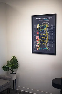 Chiropractic Greeley CO Wall Diagram